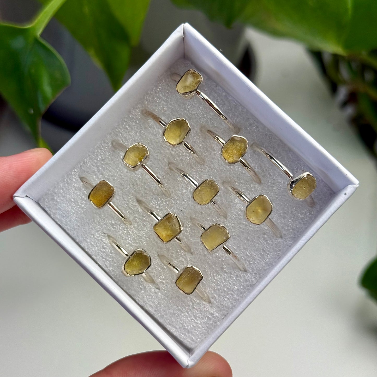 Libyan Desert Glass Rings