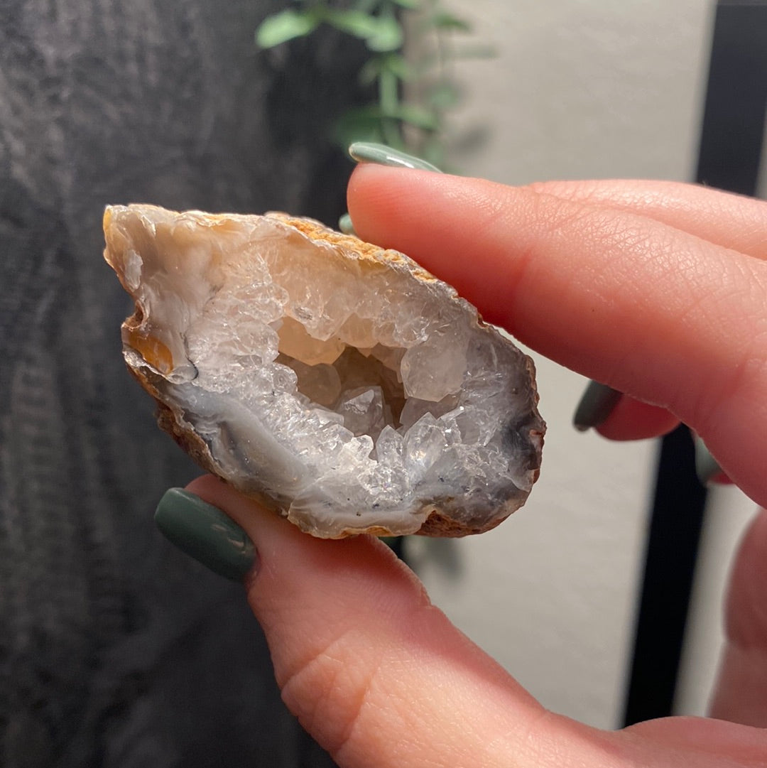 Oco Agate Geodes