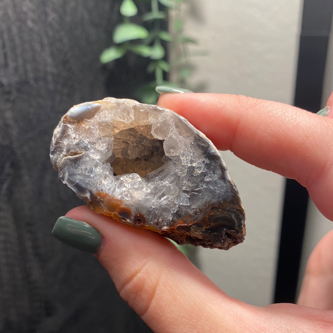 Oco Agate Geodes