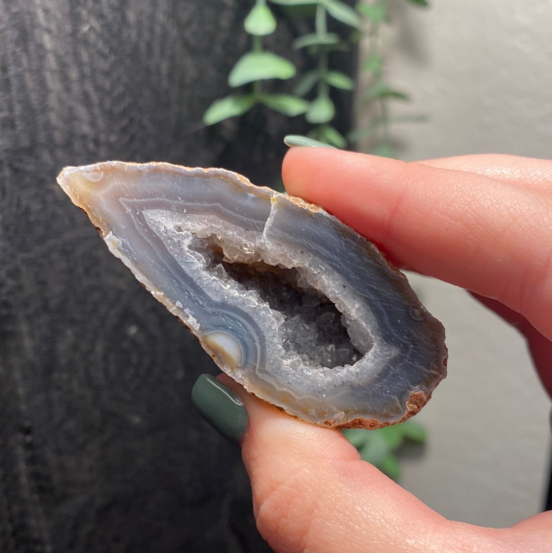 Oco Agate Geodes