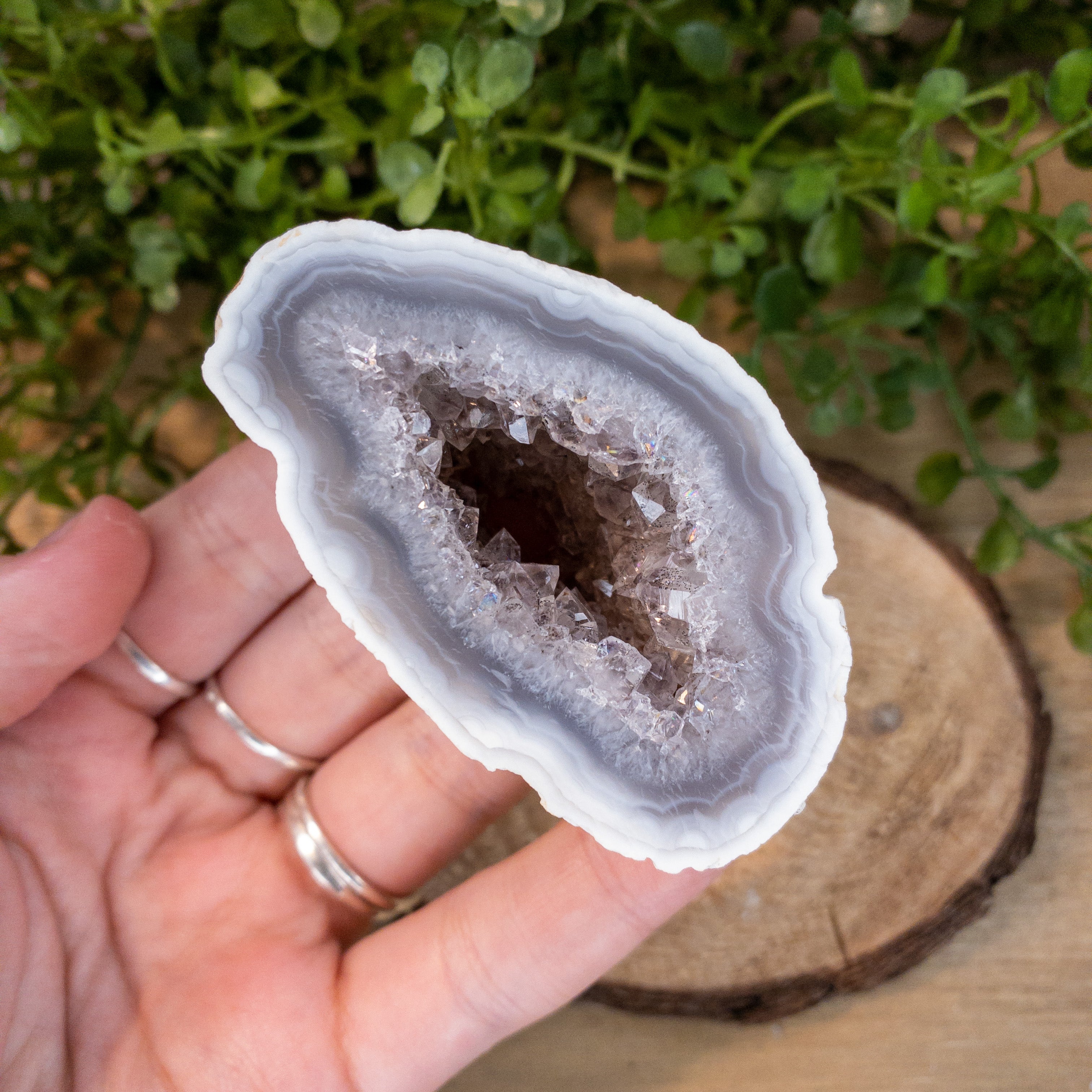 Oco Agate Geodes