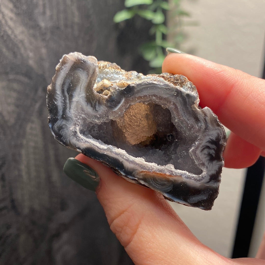 Oco Agate Geodes