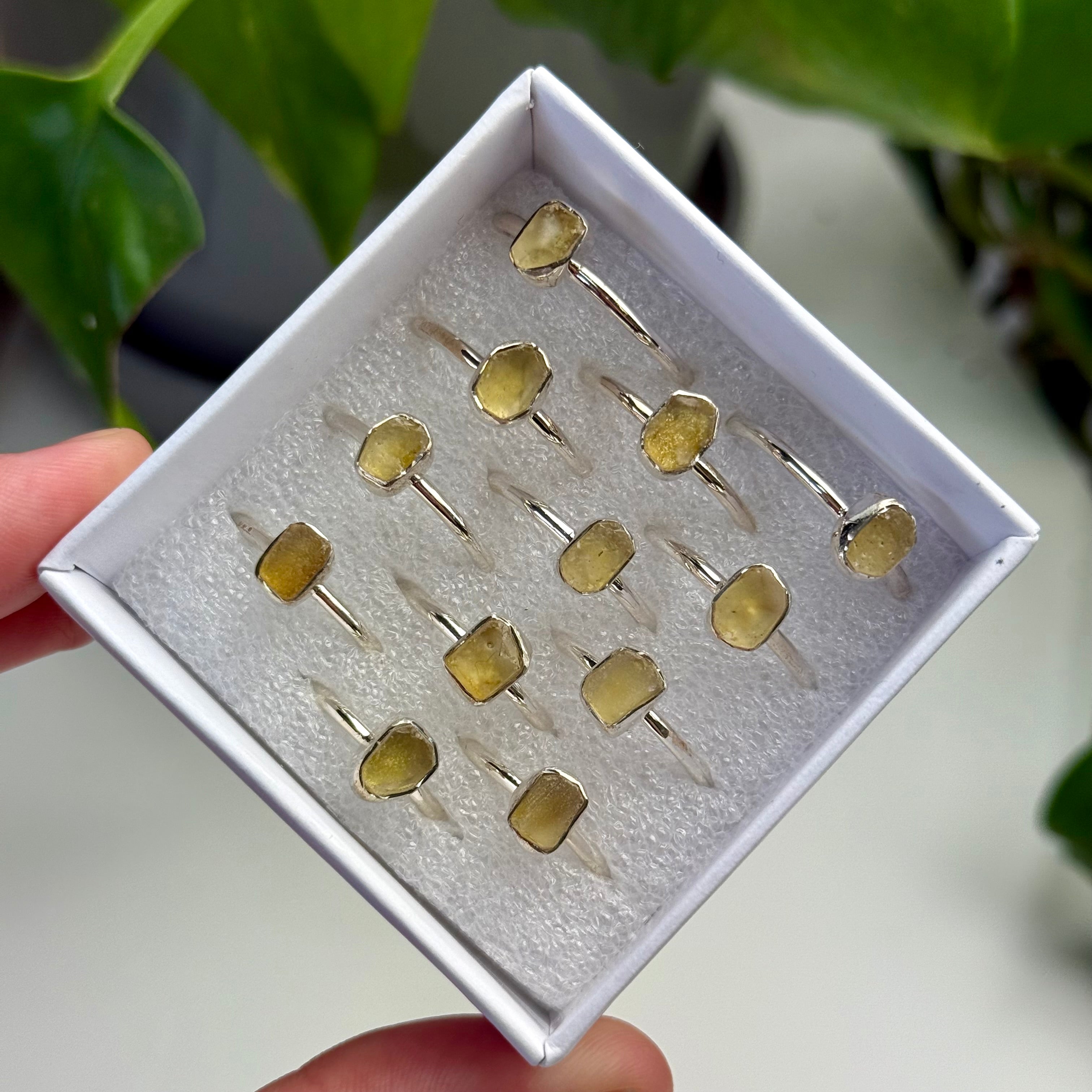 Libyan Desert Glass Rings