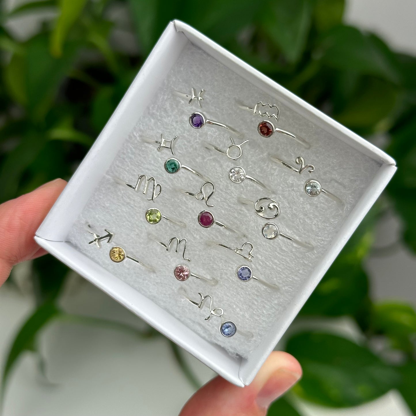 Silver Zodiac Birthstone Rings