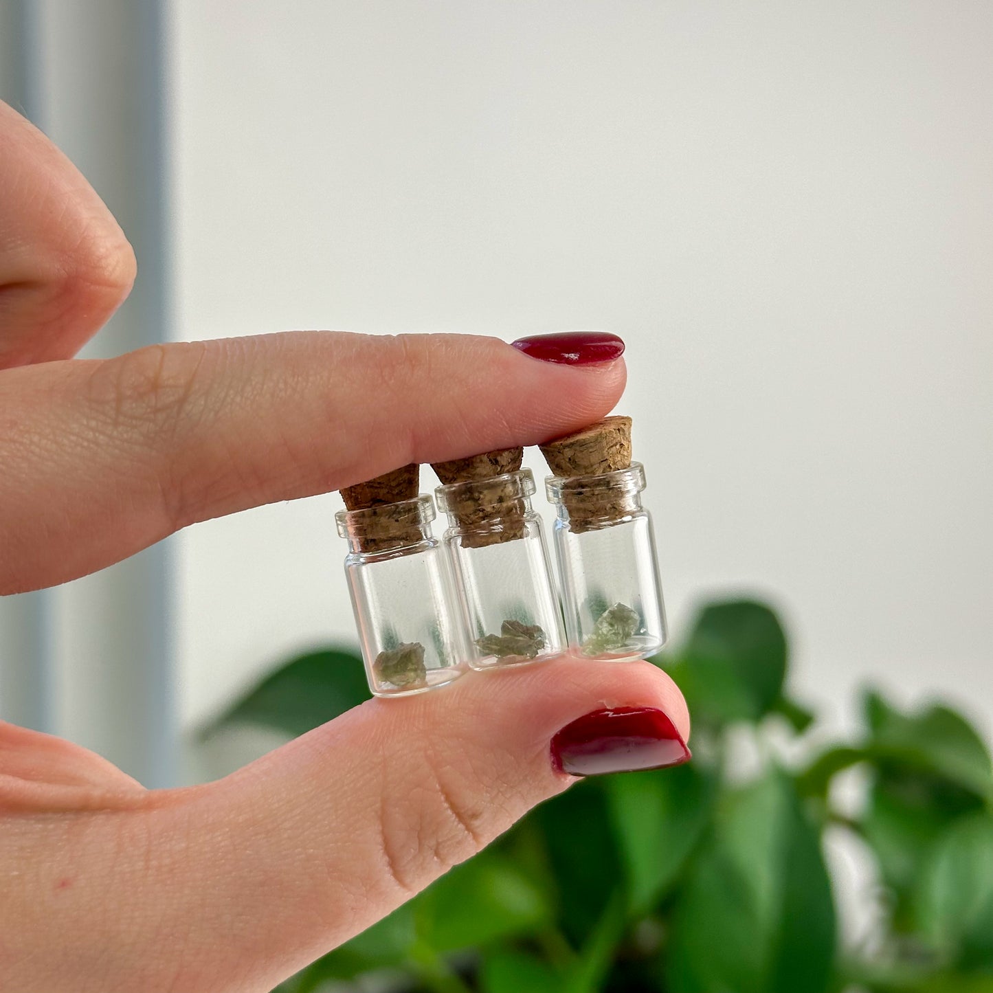 Micro Moldavite Starter Jars