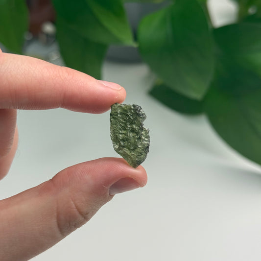 1.84 Gram Moldavite Specimen A