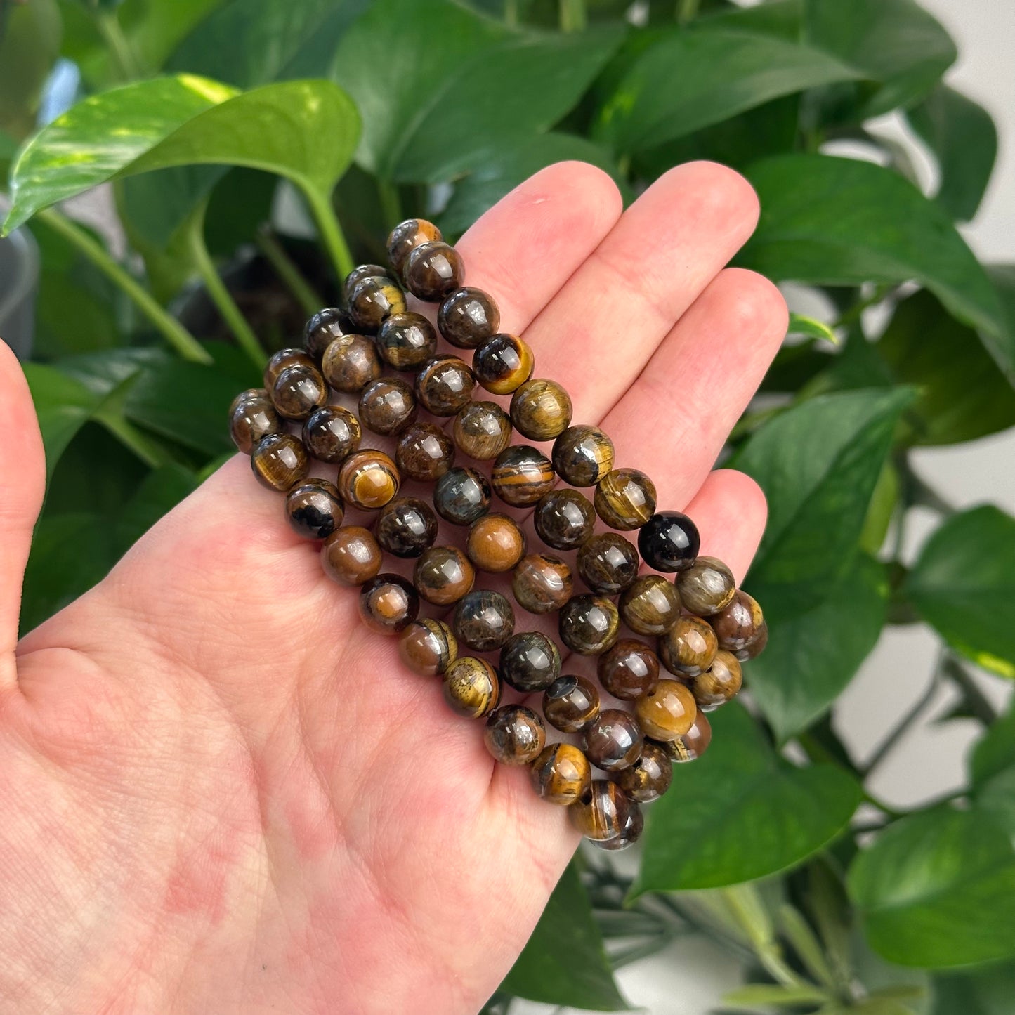 Tigers Eye Bracelet (8mm)