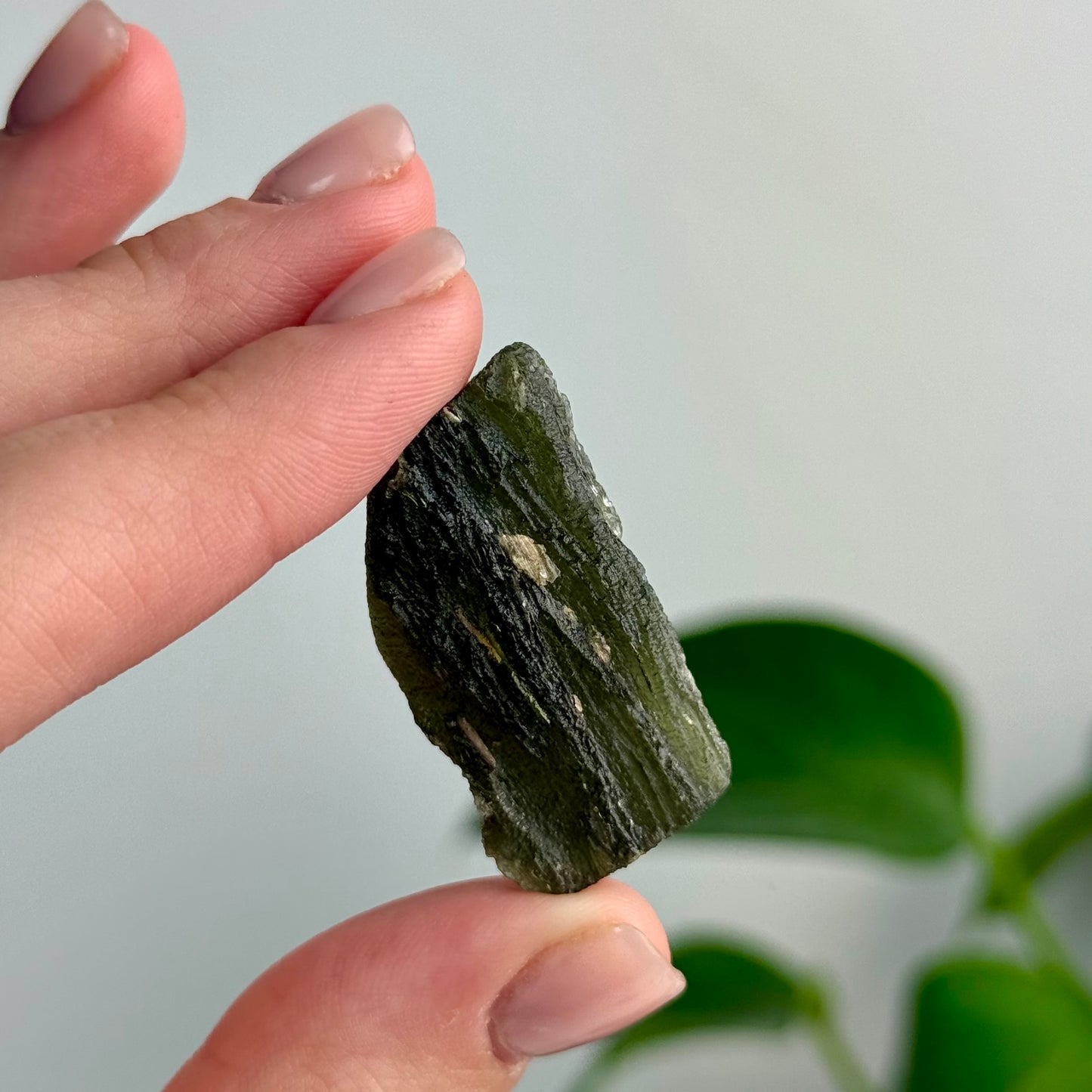 8.42 Grams Moldavite Specimen