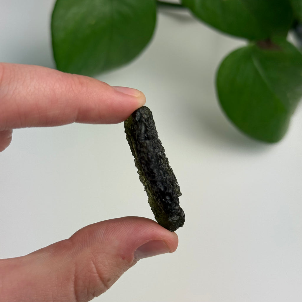 Museum Grade Maly Chlum Moldavite Specimen 7.97 grams