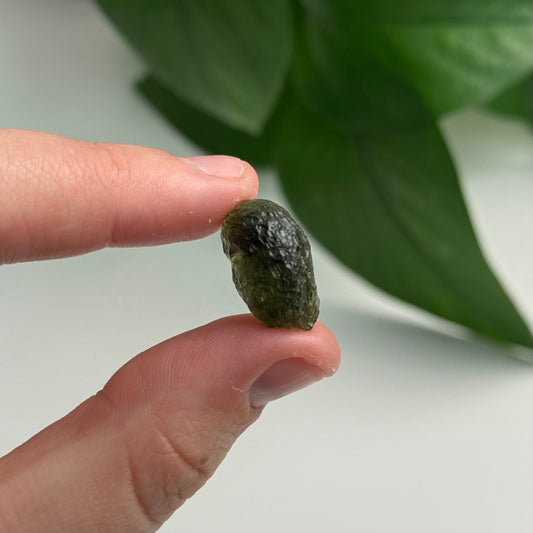 2 Gram Moldavite Specimen A