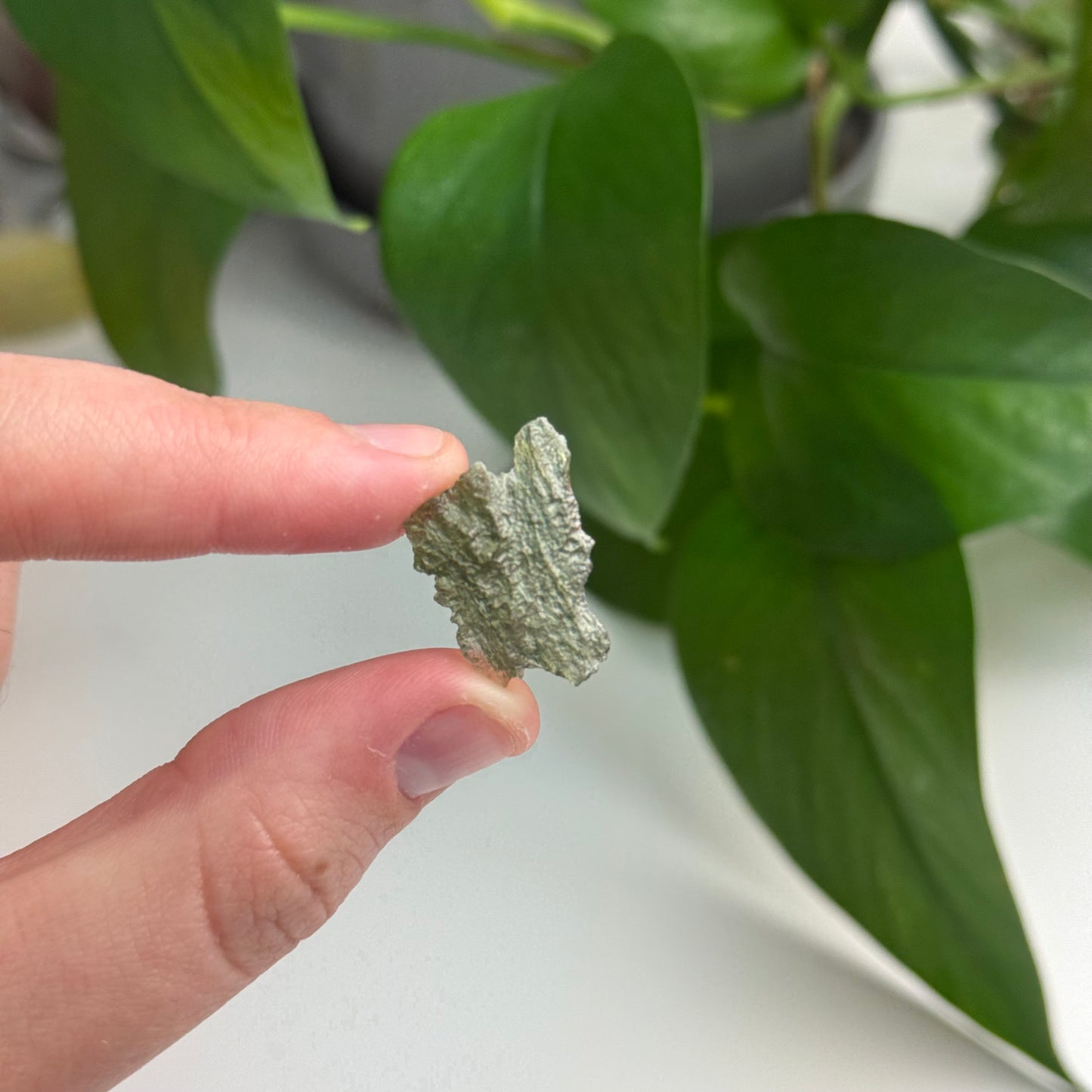 1.05 Gram Moldavite Specimen