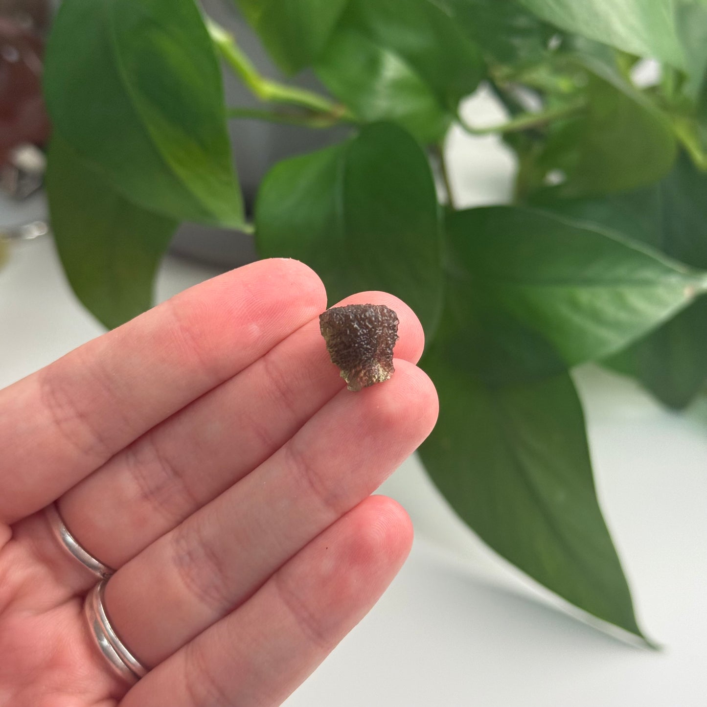 1.23 Gram Moldavite Specimen