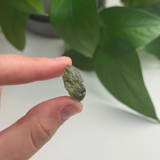 1.17 Gram Moldavite Specimen B