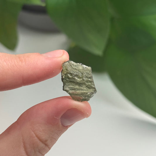 1.14 Gram Moldavite Specimen