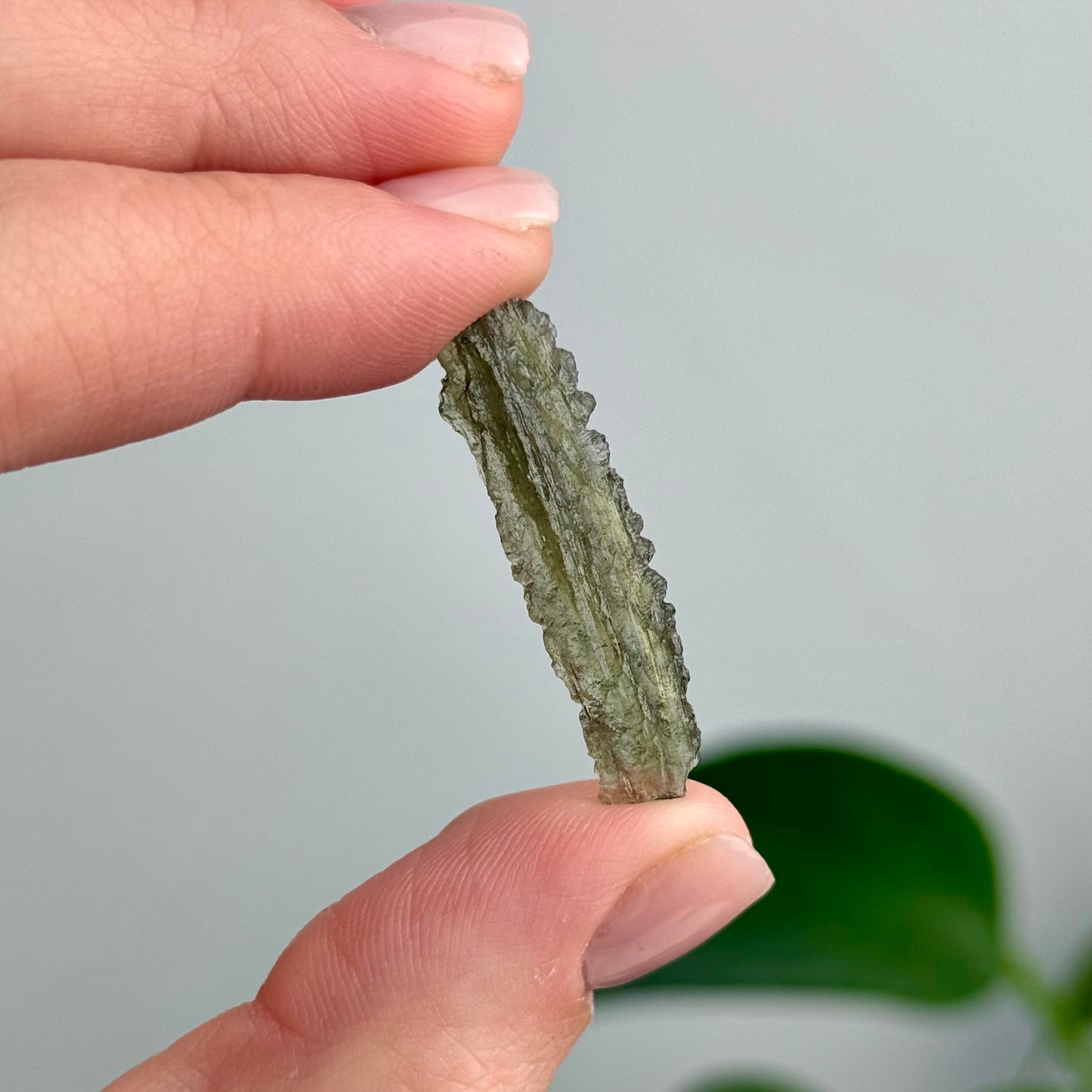 Angel Chime Moldavite 0.90 Grams