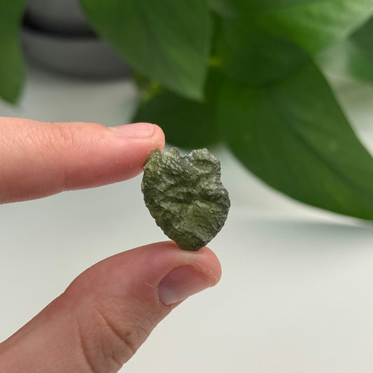 2.77 Gram Moldavite Specimen