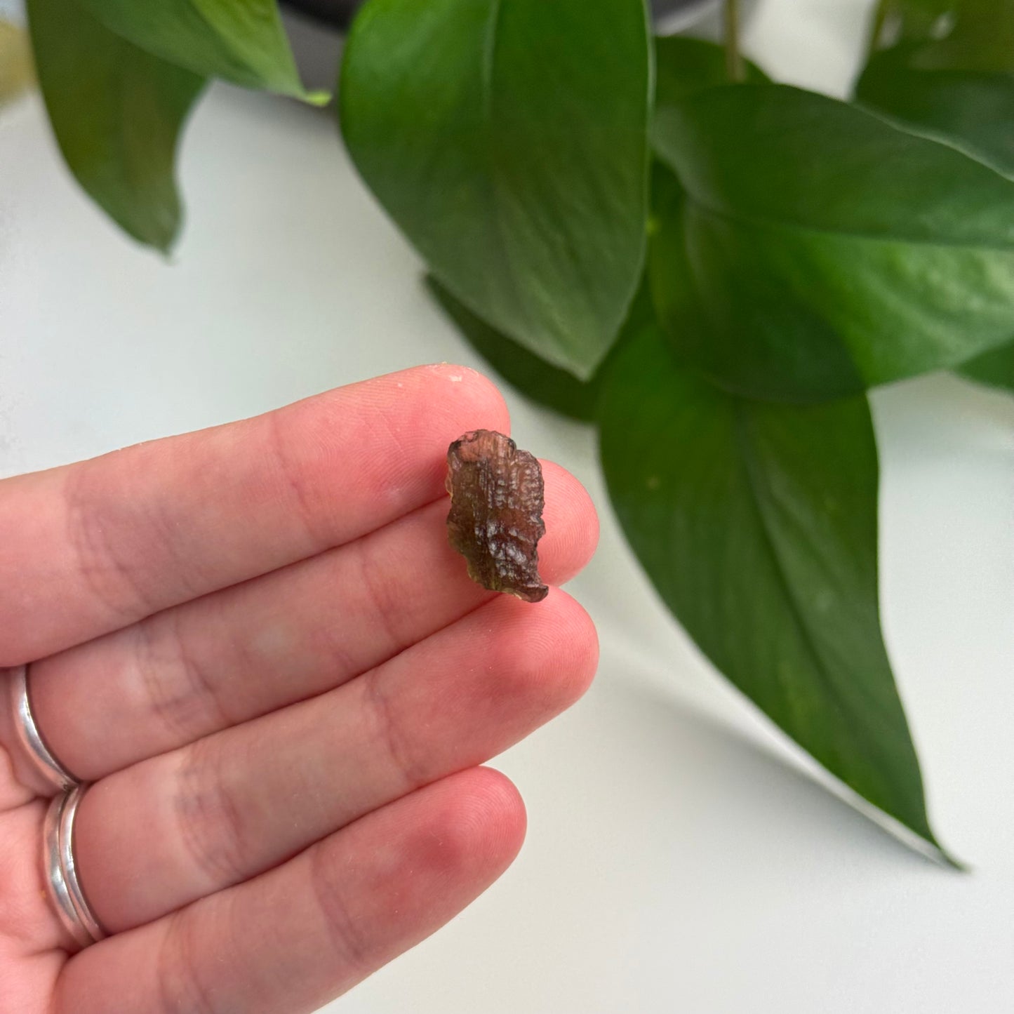 1 Gram Moldavite Specimen B