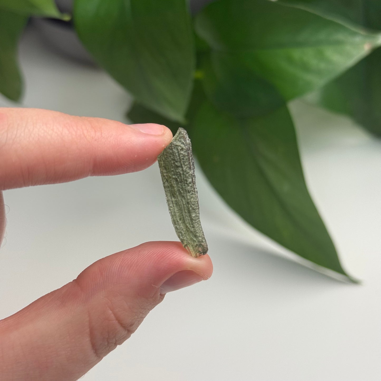 1.47 Gram Moldavite Specimen