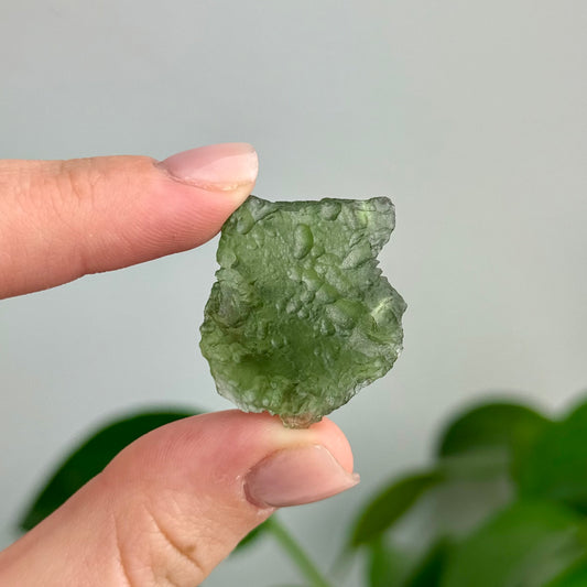 5.98 Grams Moldavite Specimen