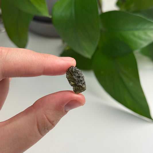 1.09 Gram Moldavite Specimen