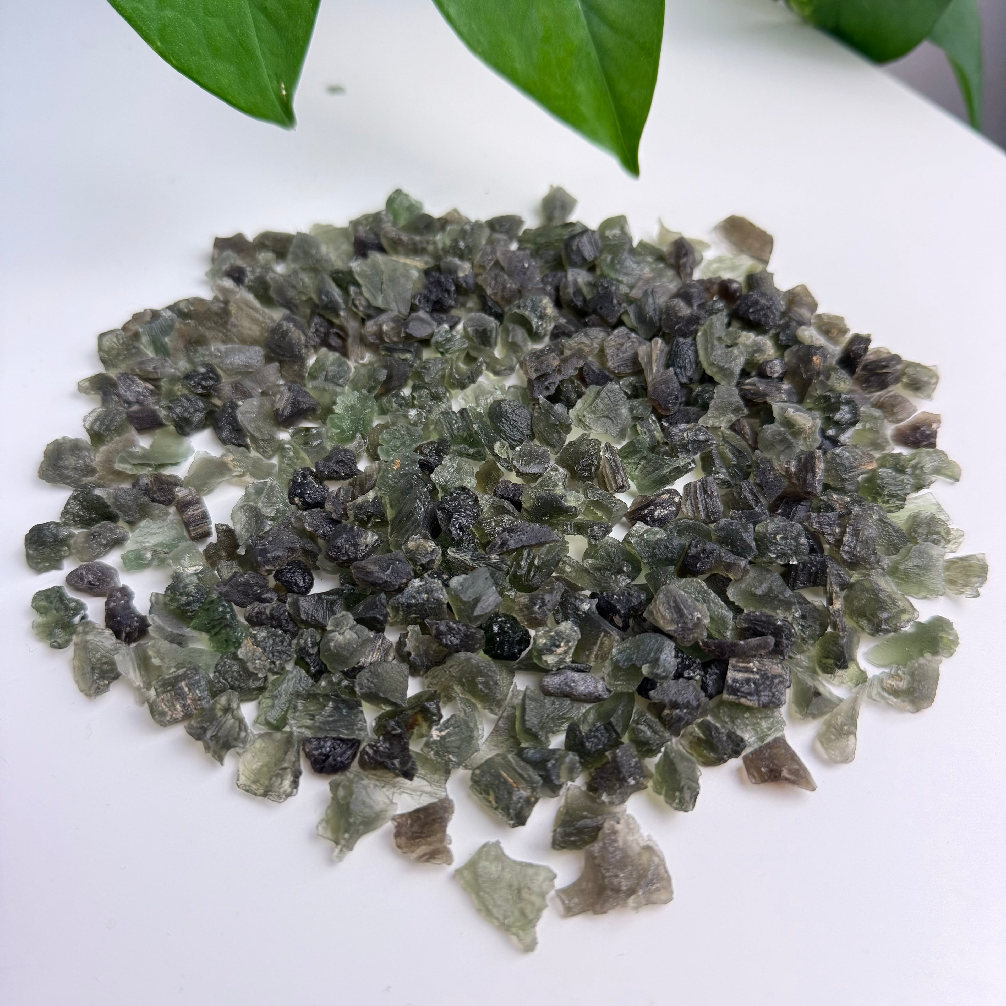 Moldavite Wholesale Lots