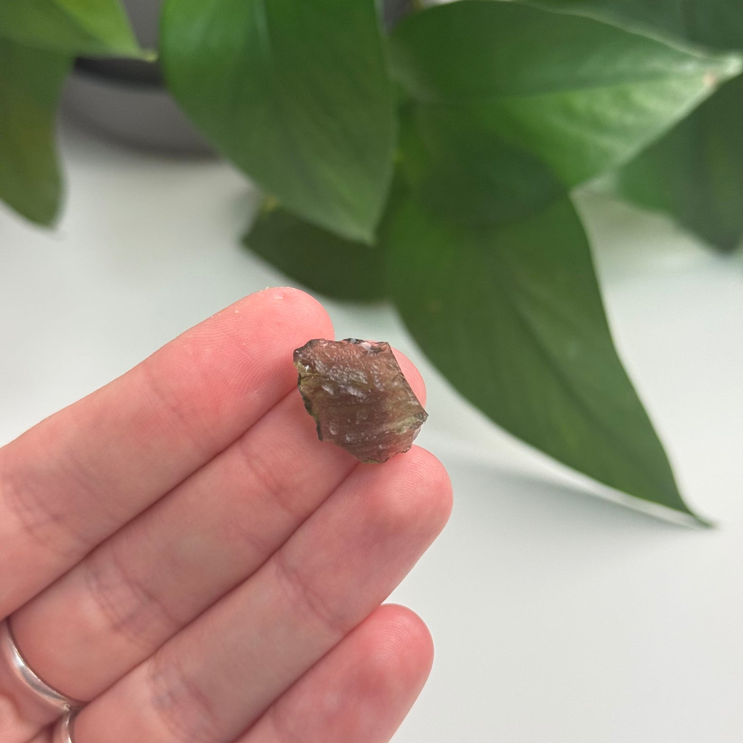 1.14 Gram Moldavite Specimen