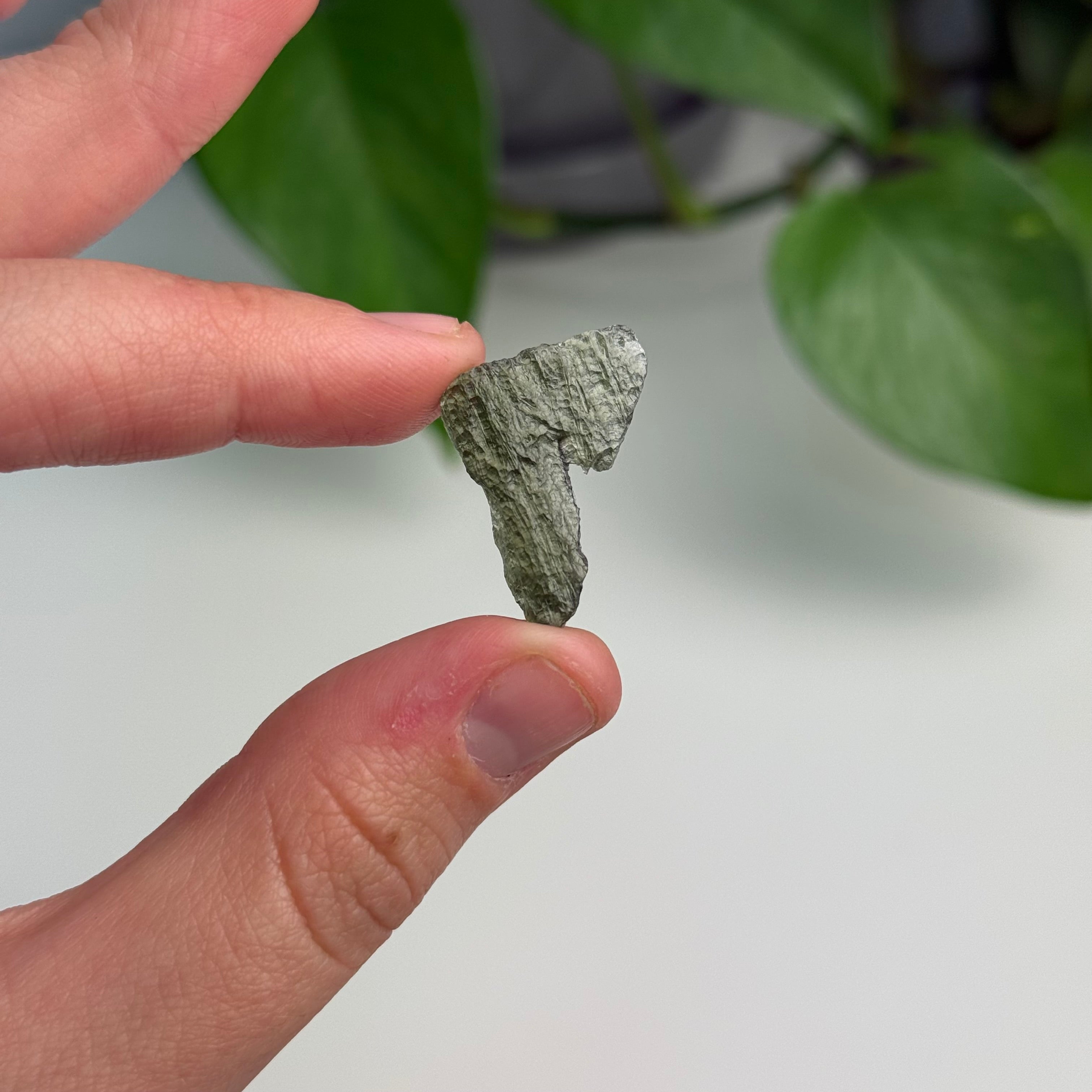1.58 Gram Moldavite Specimen