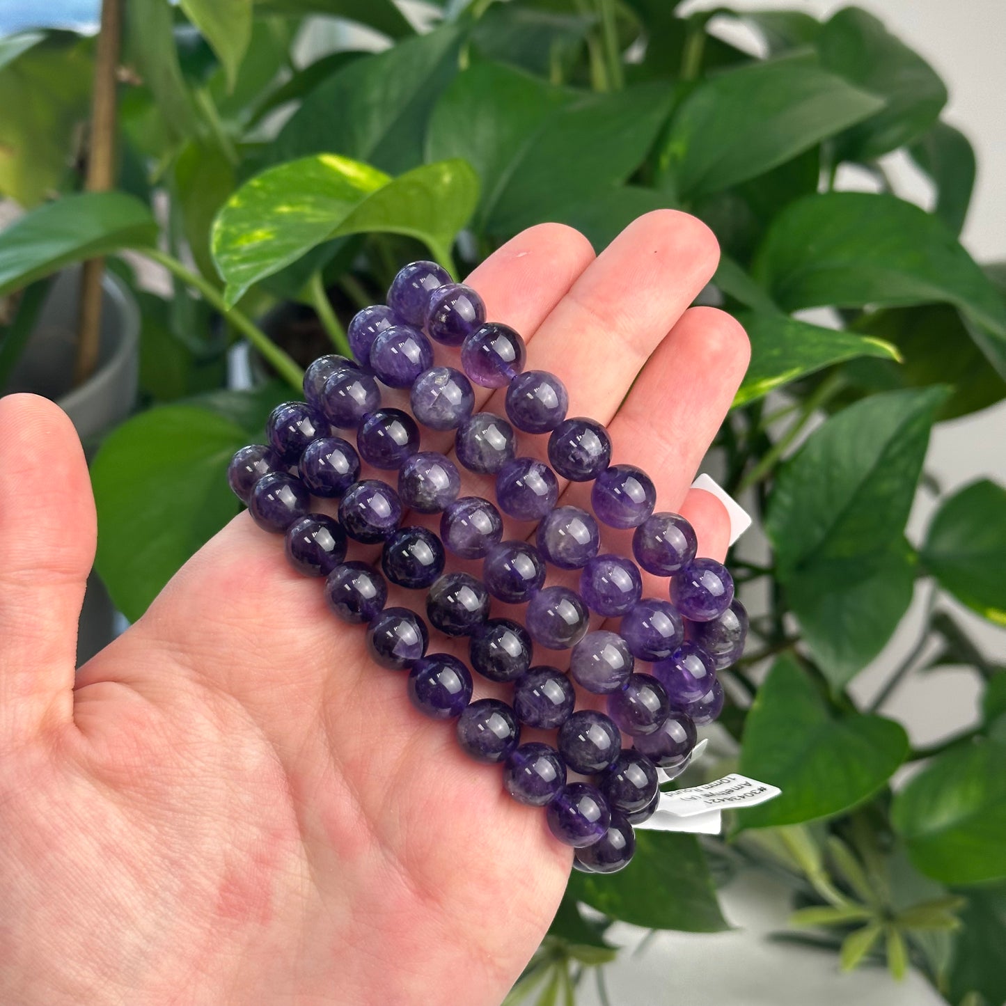 Amethyst Bracelet (10mm)