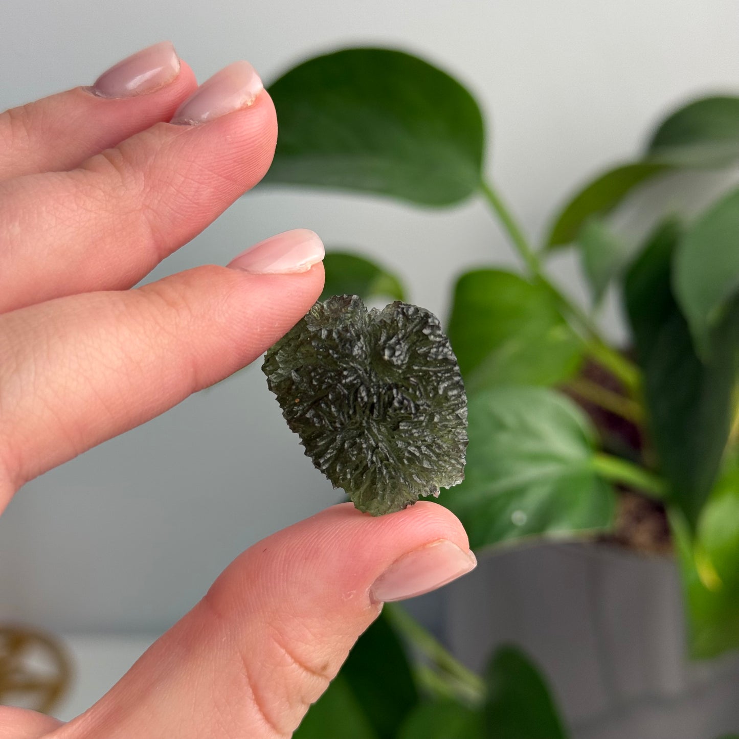 6.68 Grams Maly Chlum Moldavite Specimen