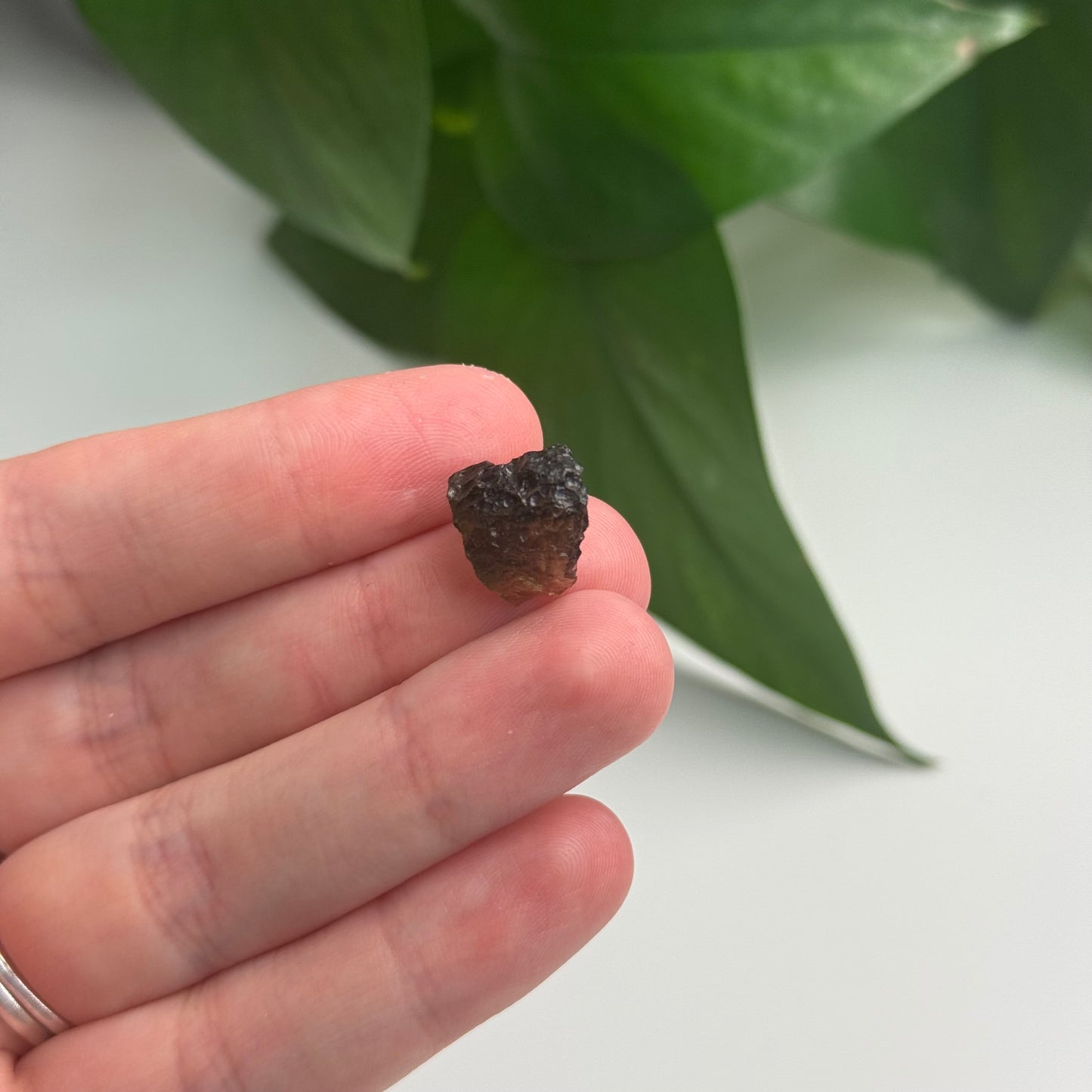 1.41 Gram Moldavite Specimen