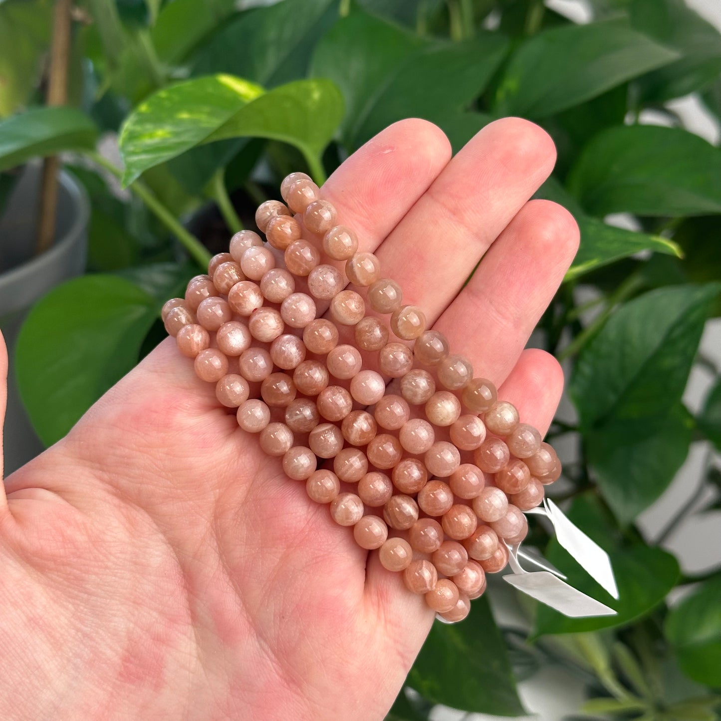 Peach Moonstone Bracelet (6-8mm)