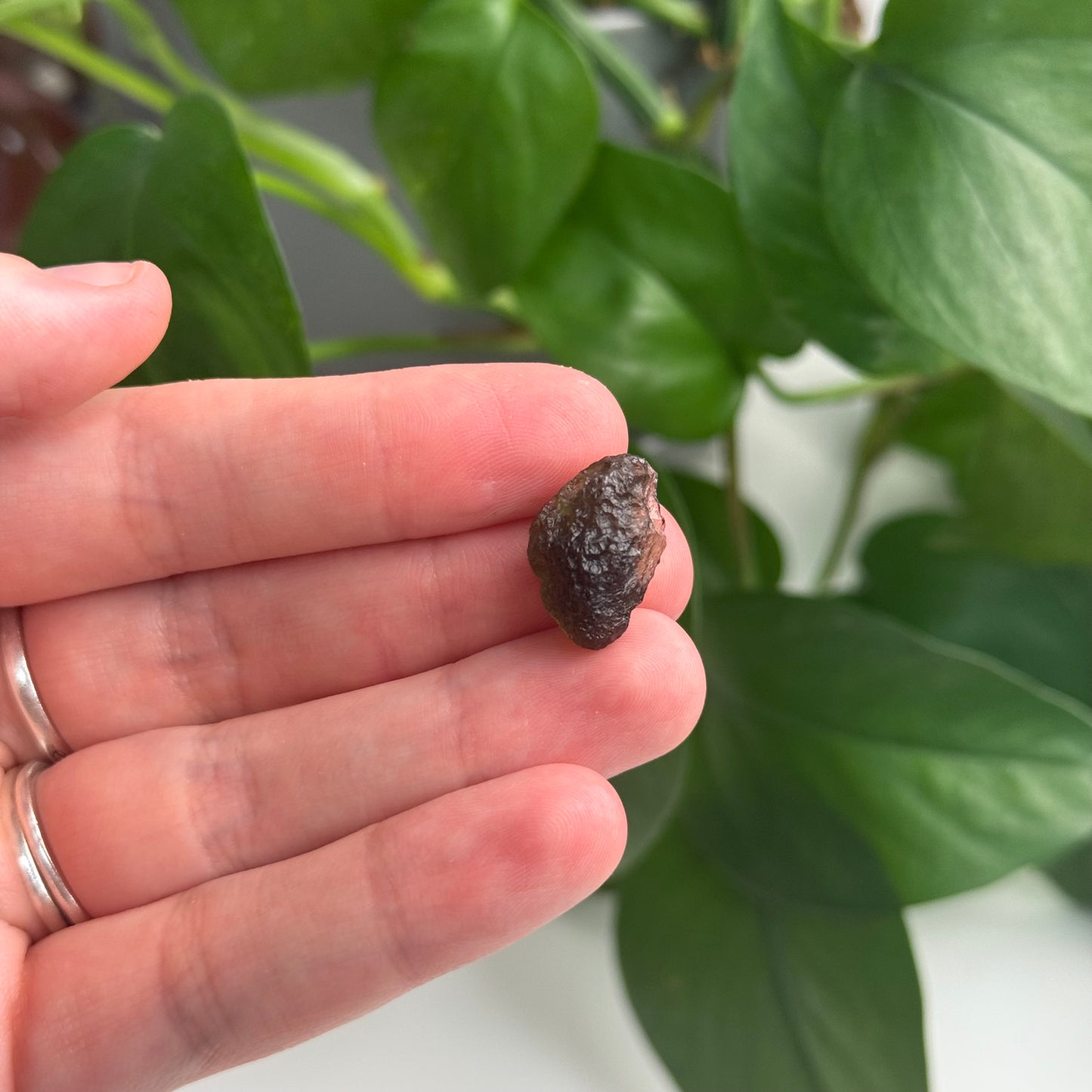 1.94 Gram Moldavite Specimen