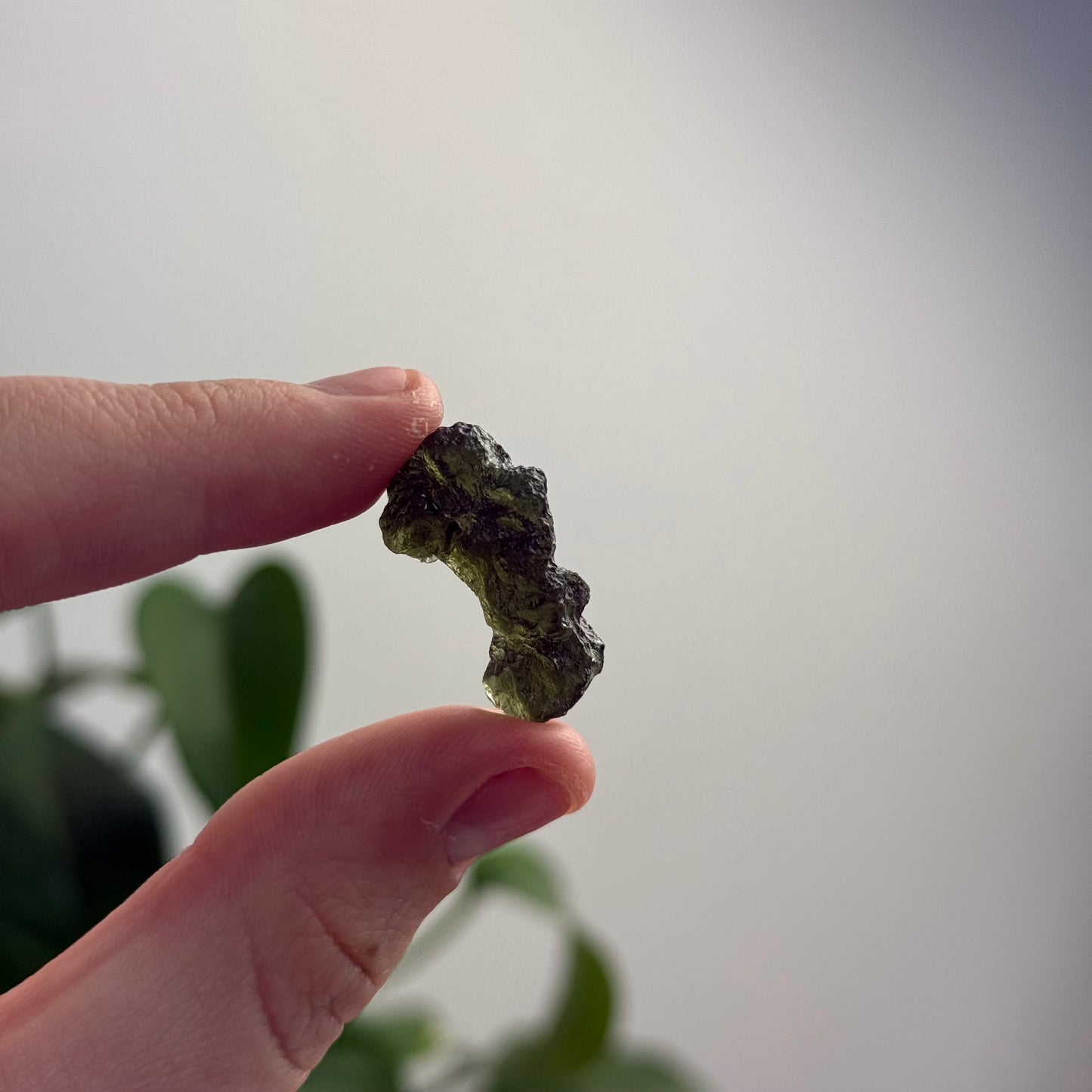 2.44 Gram Moldavite Specimen