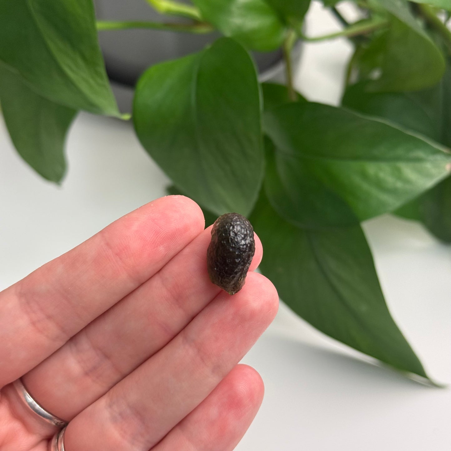 2 Gram Moldavite Specimen A