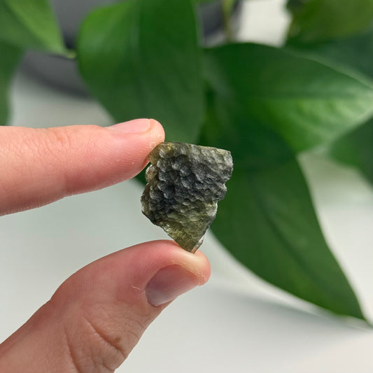 2.65 Gram Moldavite Specimen