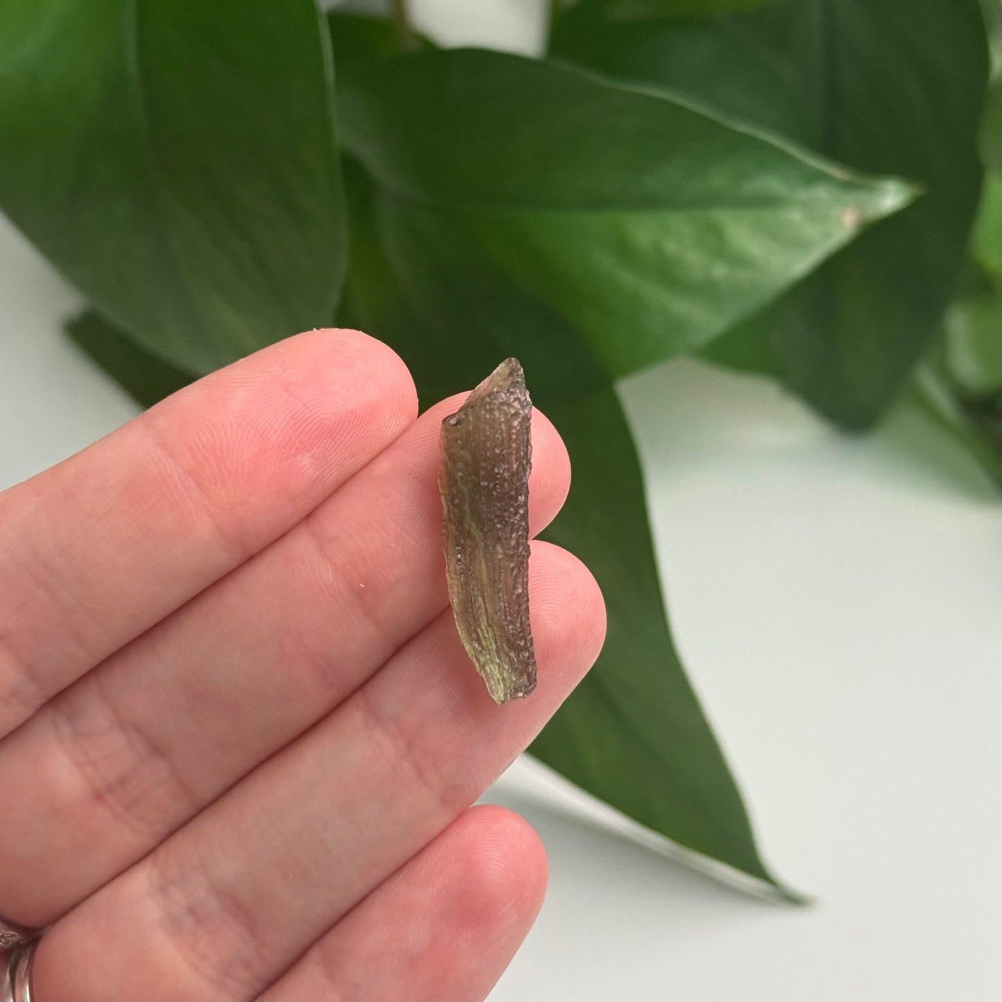 1.47 Gram Moldavite Specimen