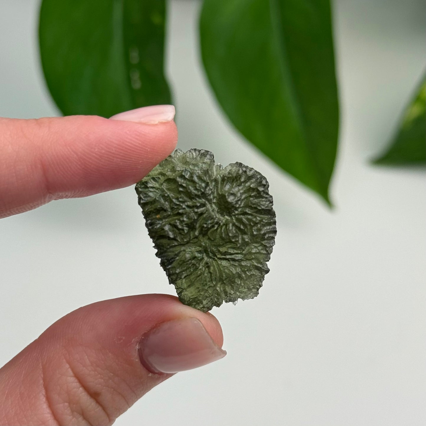 6.68 Grams Maly Chlum Moldavite Specimen