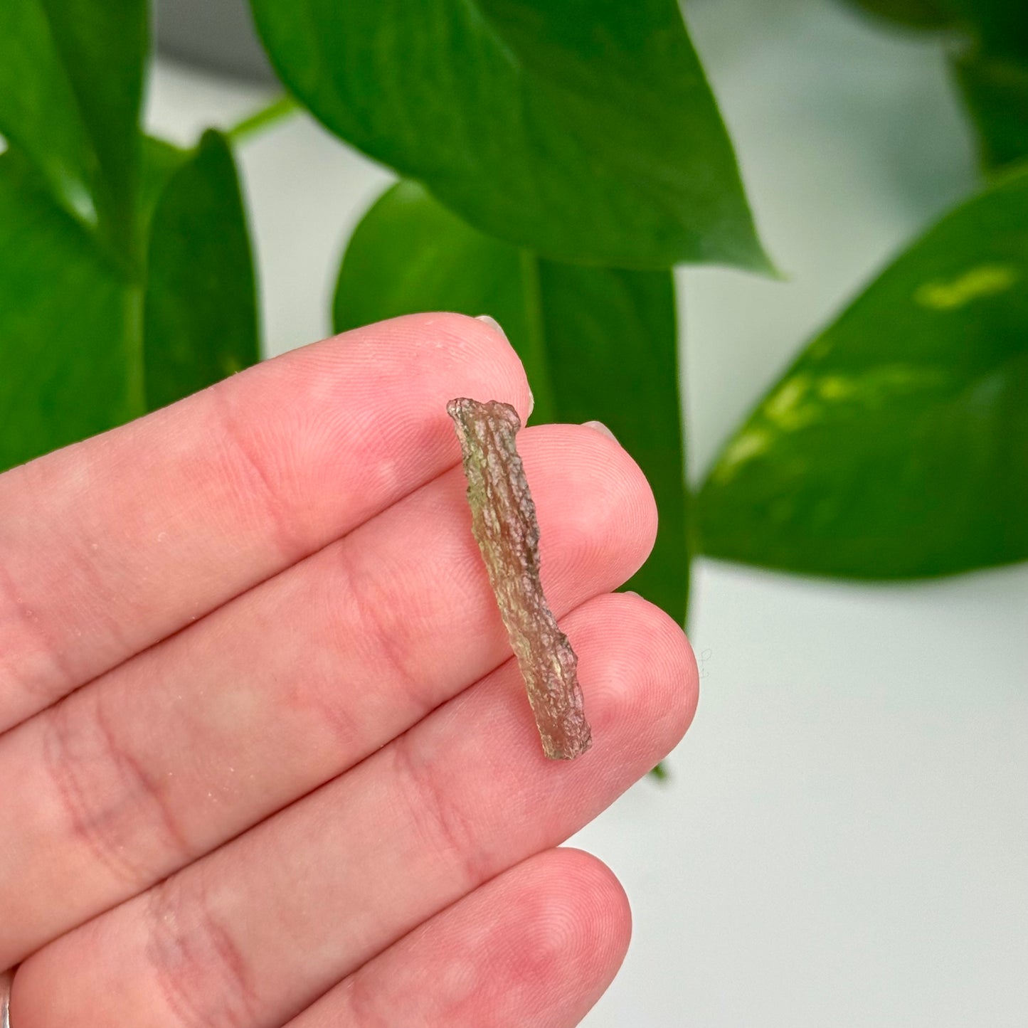 Angel Chime Moldavite 0.42 Grams