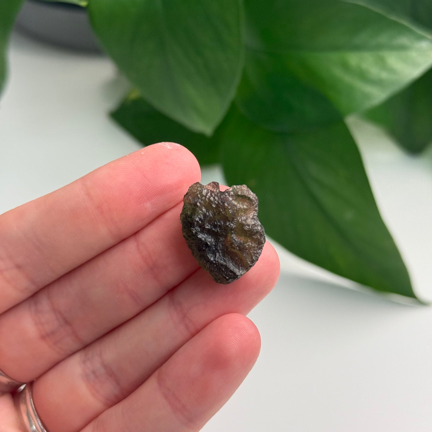 2.77 Gram Moldavite Specimen