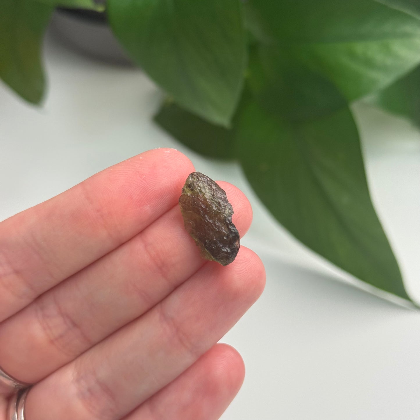 1.17 Gram Moldavite Specimen B