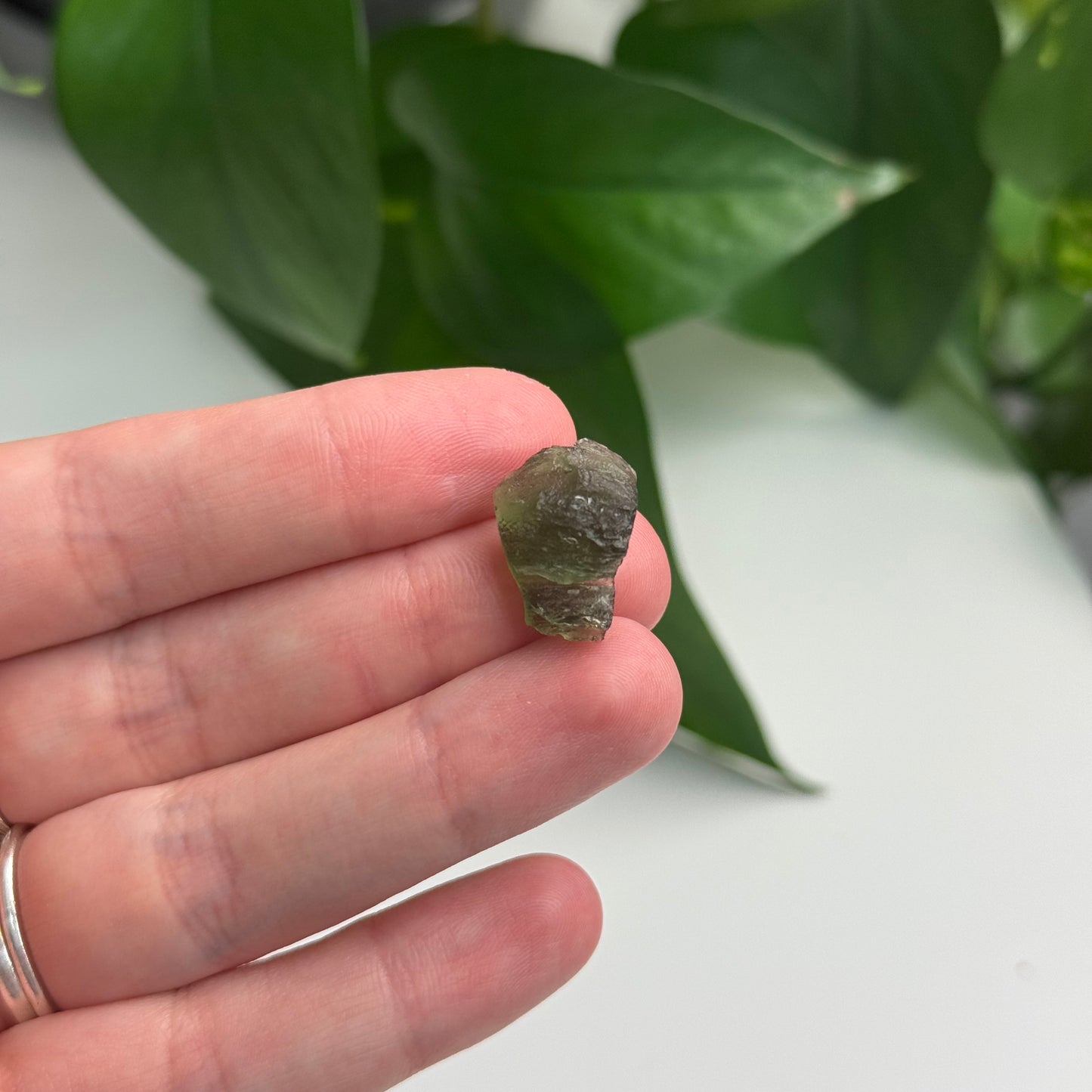 2 Gram Moldavite Specimen B