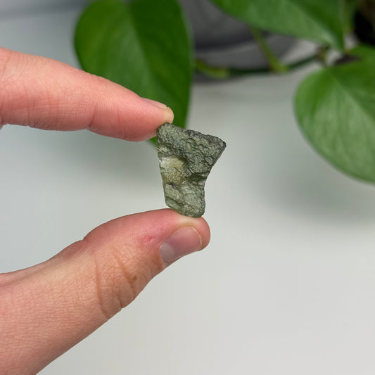 2.43 Gram Moldavite Specimen