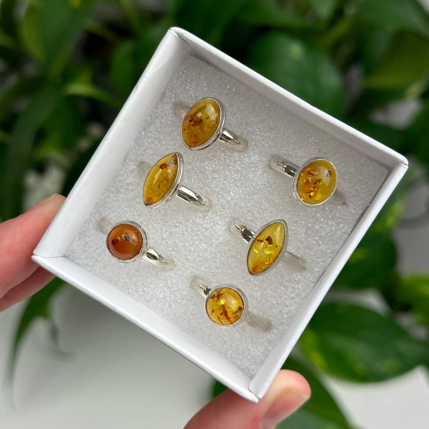 Baltic Amber Rings