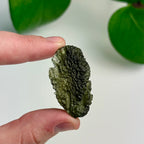 Museum Grade Maly Chlum Moldavite Specimen 7.97 grams