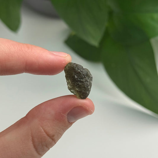 1.94 Gram Moldavite Specimen