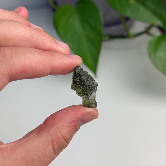 2.48 Gram Moldavite Specimen