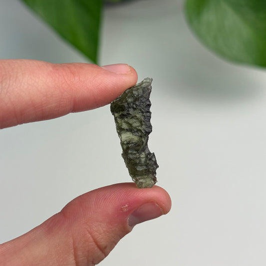 2.51 Gram Moldavite Specimen