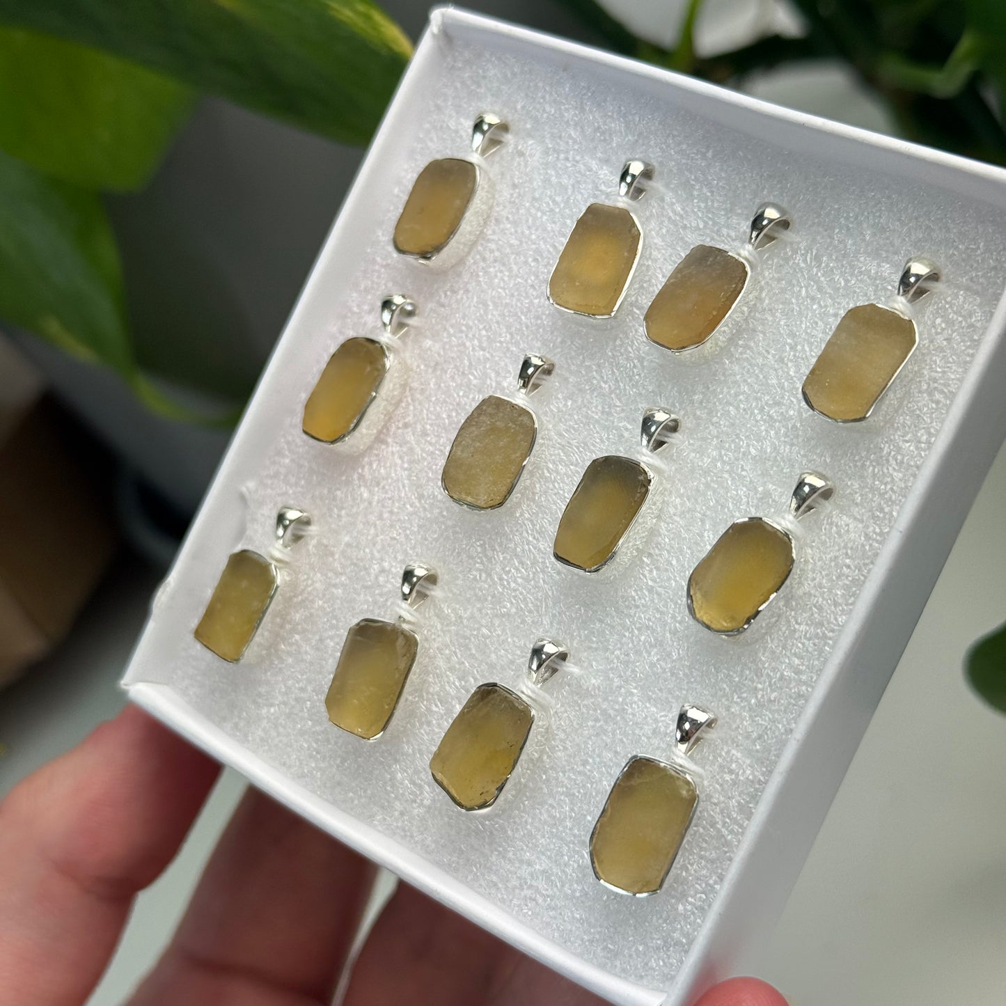 Libyan Desert Glass Pendants