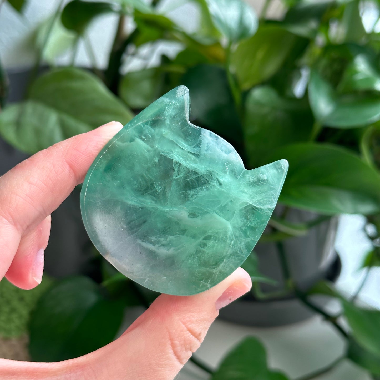 Fluorite Bowls