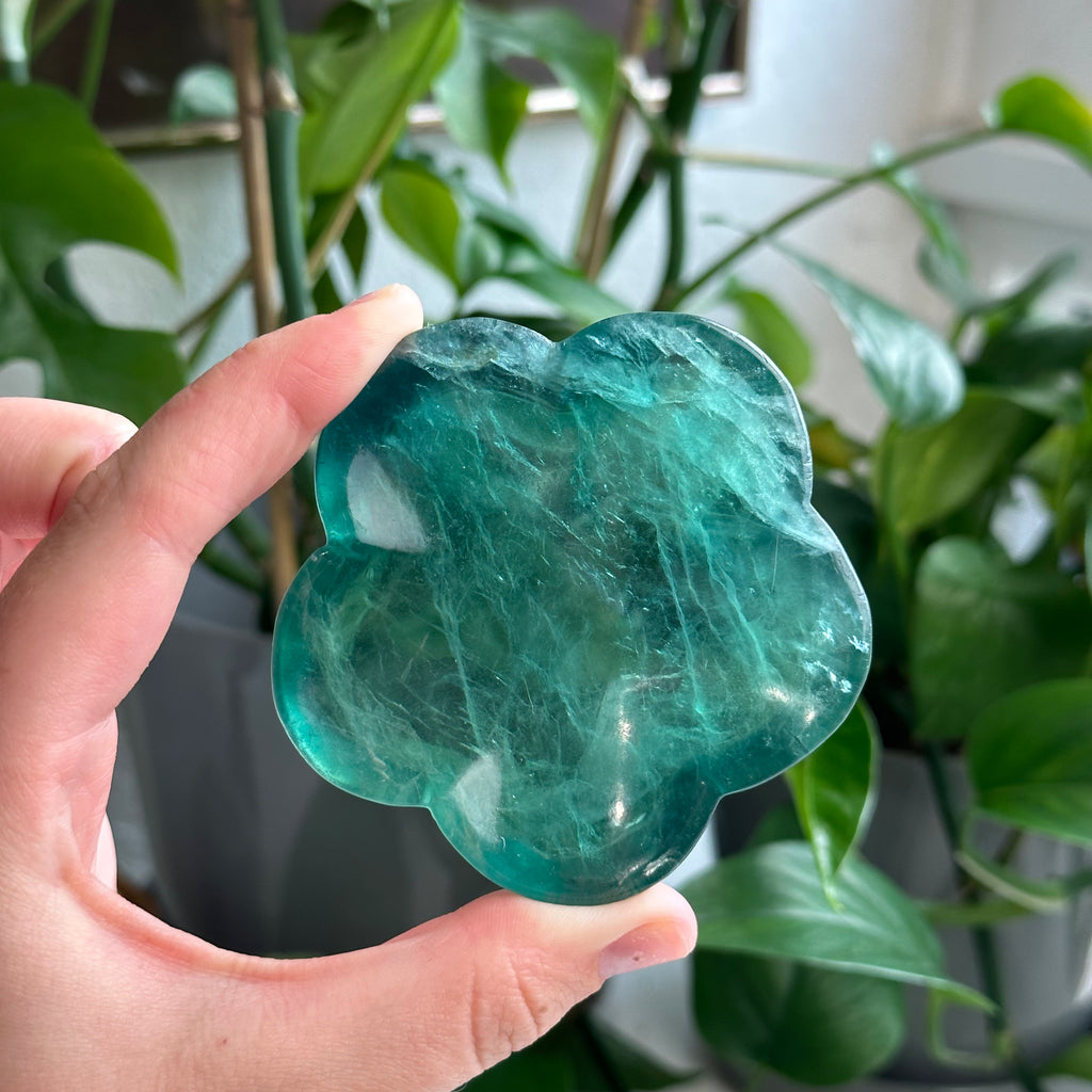 Fluorite Bowls